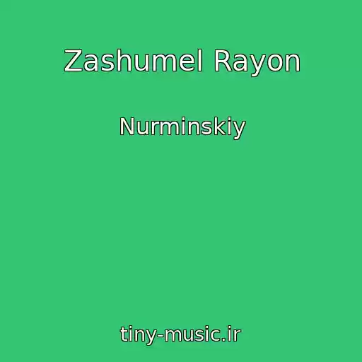 کاور آهنگ Zashumel Rayon از Nurminskiy