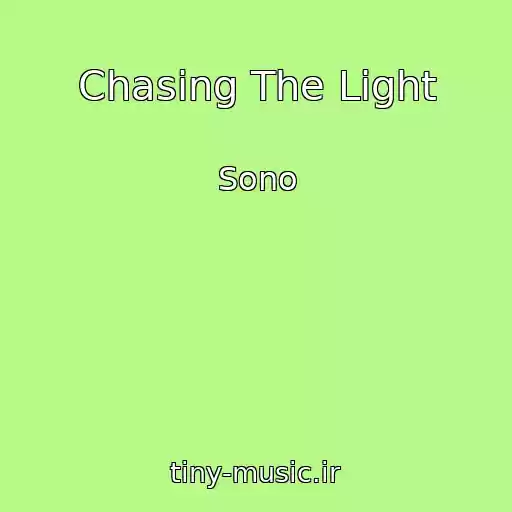 کاور آهنگ Chasing The Light از Sono