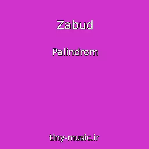 کاور آهنگ Zabud از Palіndrom