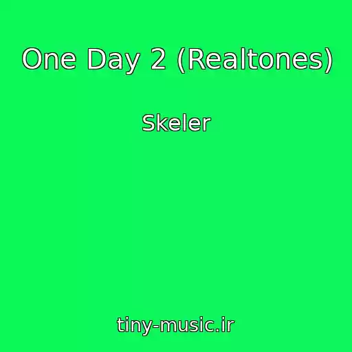 کاور آهنگ One Day 2 (Realtones) از Skeler