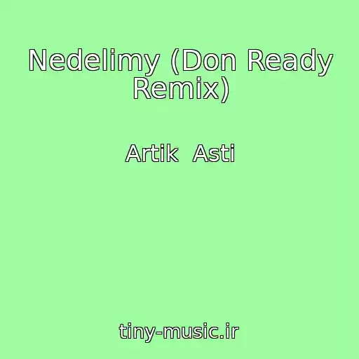 کاور آهنگ Nedelimy (Don Ready Remix) از Artik  Asti