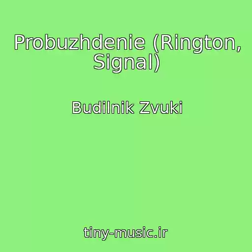 کاور آهنگ Probuzhdenie (Rington, Signal) از Budilnik Zvuki