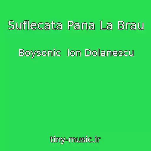 کاور آهنگ Suflecata Pana La Brau از Boysonic  Ion Dolanescu