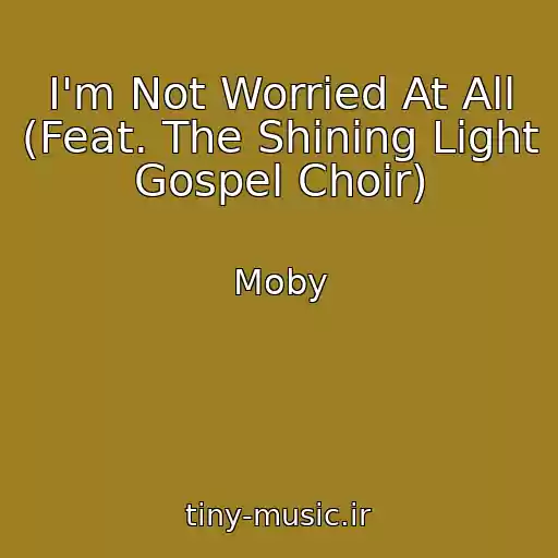 کاور آهنگ I'm Not Worried At All (Feat. The Shining Light Gospel Choir) از Moby