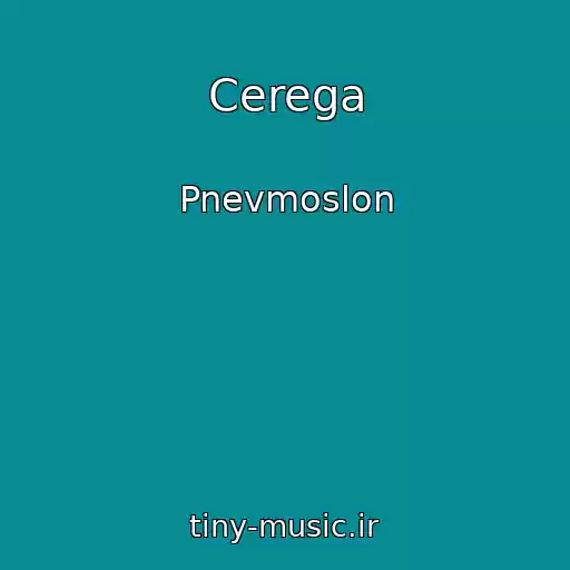 کاور آهنگ Cerega از Pnevmoslon