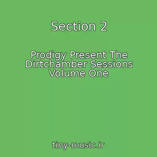 کاور آهنگ Section 2 از Prodigy Present The Dirtchamber Sessions Volume One