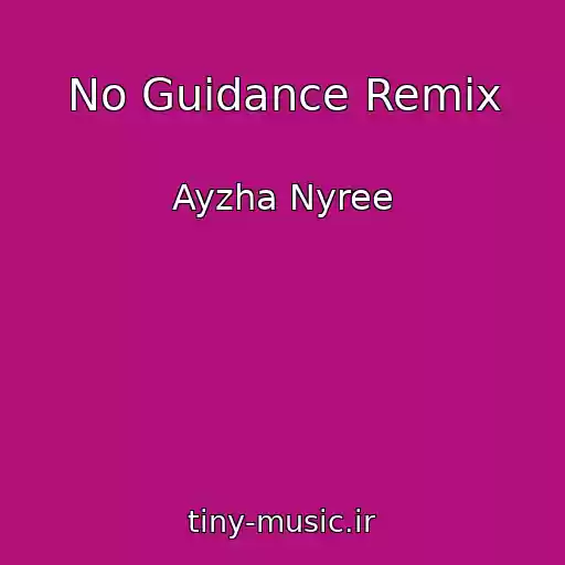 کاور آهنگ No Guidance Remix از Ayzha Nyree