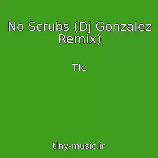 کاور آهنگ No Scrubs (Dj Gonzalez Remix) از Tlc
