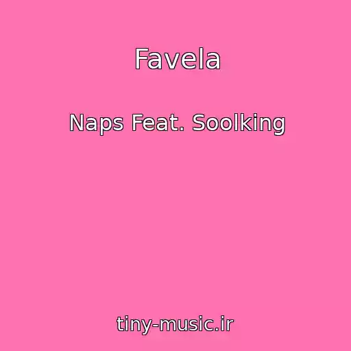 کاور آهنگ Favela از Naps Feat. Soolking