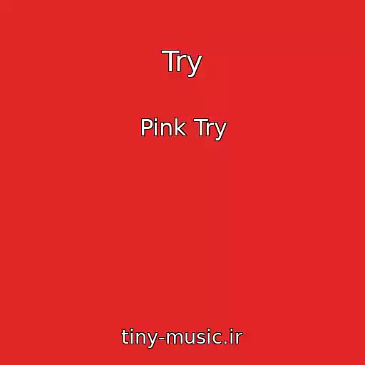کاور آهنگ Try از Pink Try