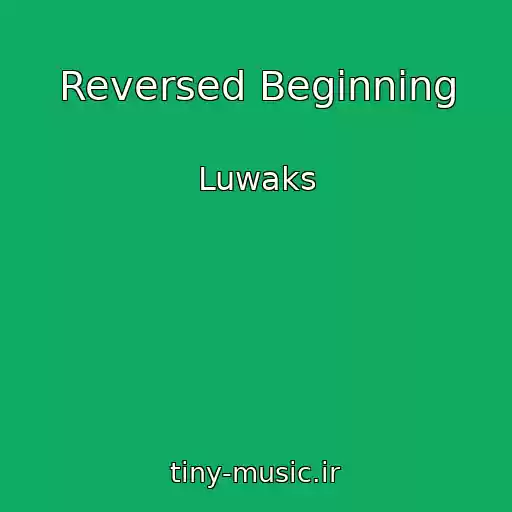 کاور آهنگ Reversed Beginning از Luwaks