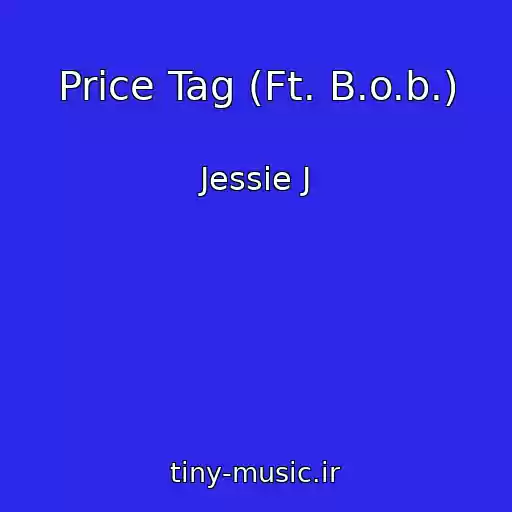کاور آهنگ Price Tag (Ft. B.o.b.) از Jessie J