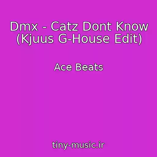 کاور آهنگ Dmx - Catz Dont Know (Kjuus G-House Edit) از Ace Beats