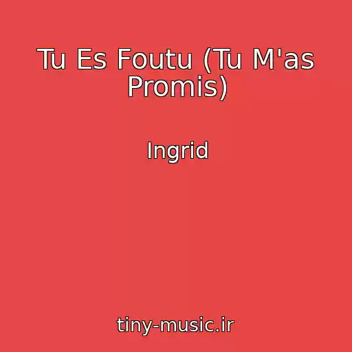 کاور آهنگ Tu Es Foutu (Tu M'as Promis) از Ingrid