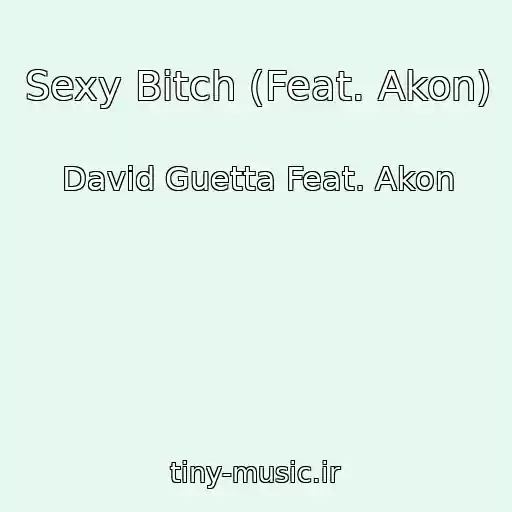 کاور آهنگ Sexy Bitch (Feat. Akon) از David Guetta Feat. Akon