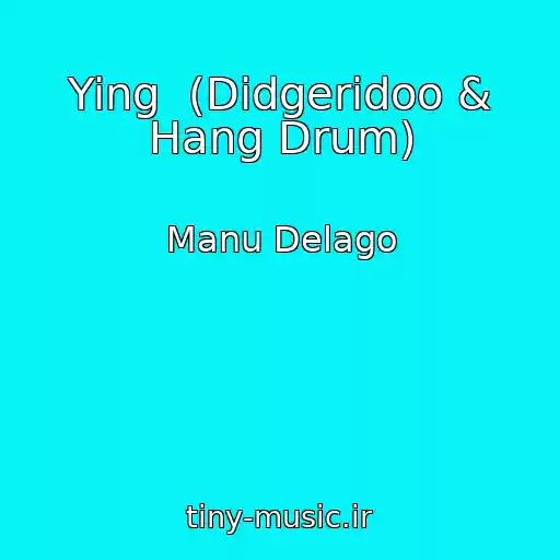 کاور آهنگ Ying  (Didgeridoo & Hang Drum) از Manu Delago
