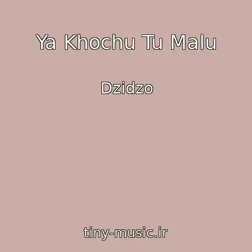 کاور آهنگ Ya Khochu Tu Malu از Dzіdzo
