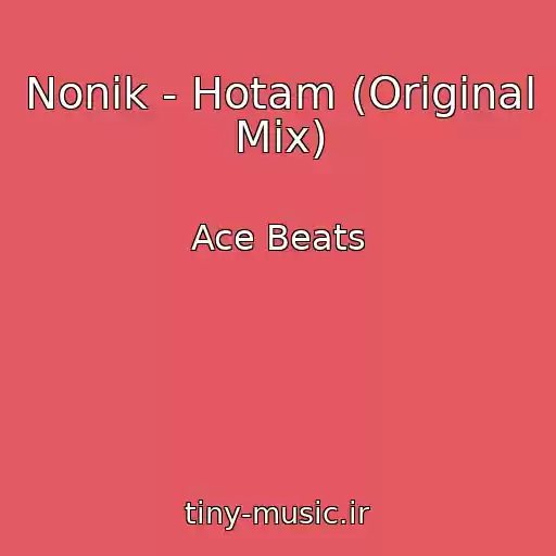 کاور آهنگ Nonik - Hotam (Original Mix) از Ace Beats