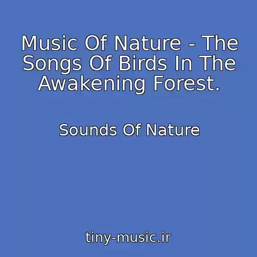 کاور آهنگ Music Of Nature - The Songs Of Birds In The Awakening Forest. از Sounds Of Nature