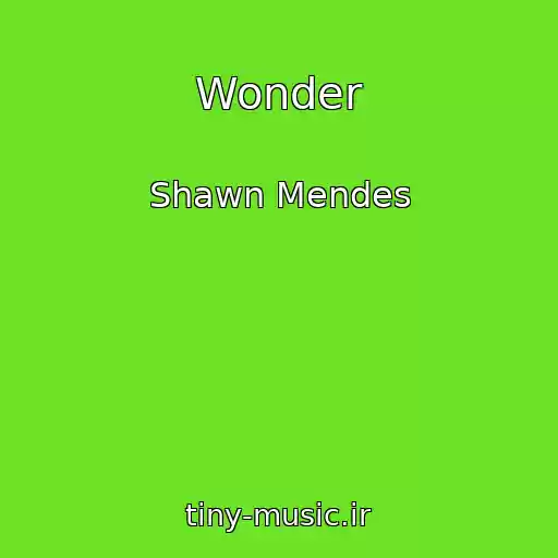 کاور آهنگ Wonder از Shawn Mendes