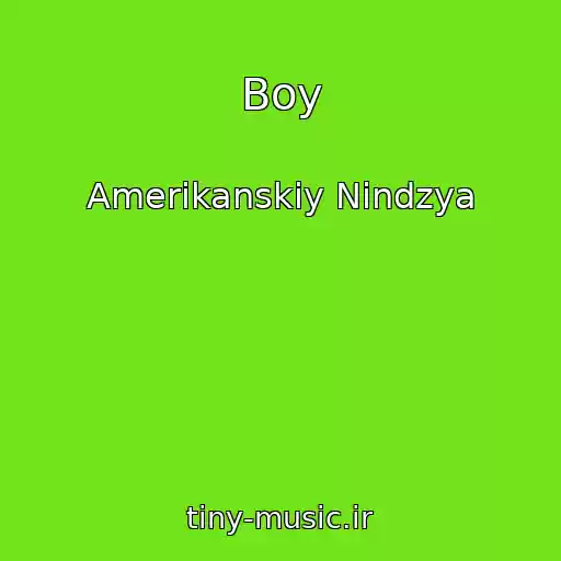کاور آهنگ Boy از Amerikanskiy Nindzya