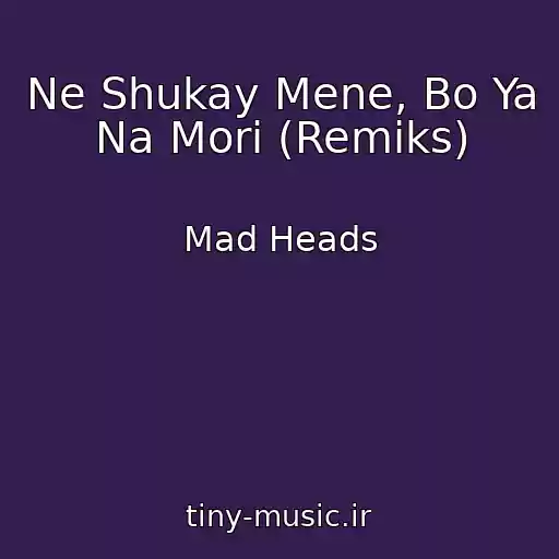 کاور آهنگ Ne Shukay Mene, Bo Ya Na Morі (Remіks) از Mad Heads