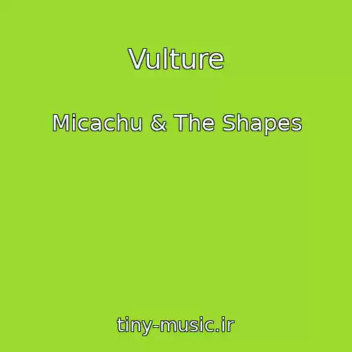 کاور آهنگ Vulture از Micachu & The Shapes