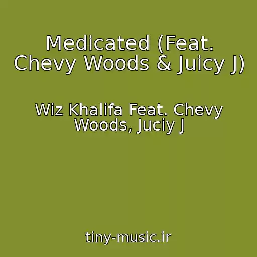 کاور آهنگ Medicated (Feat. Chevy Woods & Juicy J) از Wiz Khalifa Feat. Chevy Woods, Juciy J