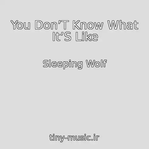 کاور آهنگ You Don’T Know What It’S Like از Sleeping Wolf
