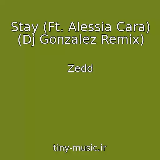کاور آهنگ Stay (Ft. Alessia Cara) (Dj Gonzalez Remix) از Zedd