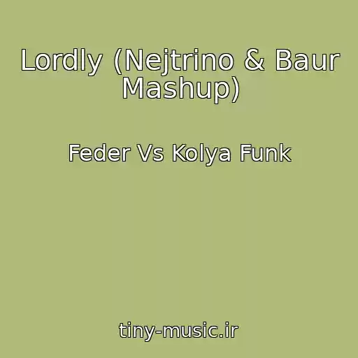 کاور آهنگ Lordly (Nejtrino & Baur Mashup) از Feder Vs Kolya Funk