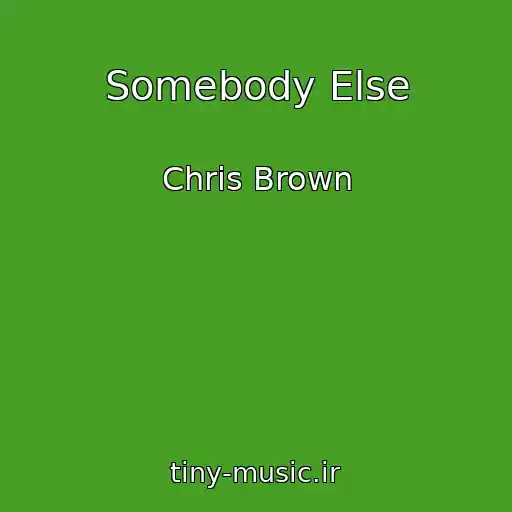 کاور آهنگ Somebody Else از Chris Brown