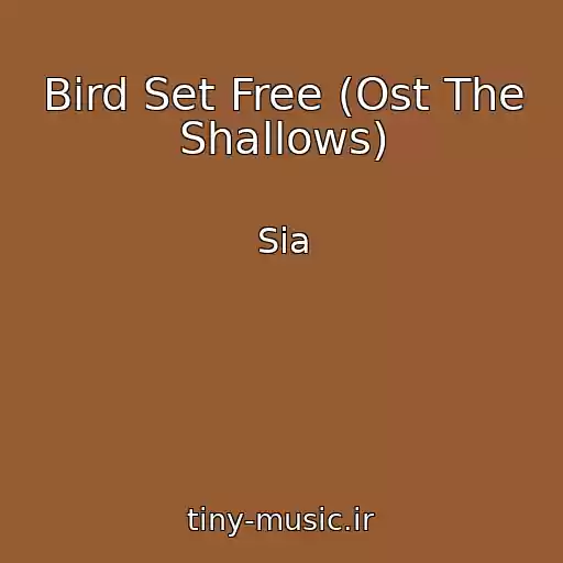 کاور آهنگ Bird Set Free (Ost The Shallows) از Sia