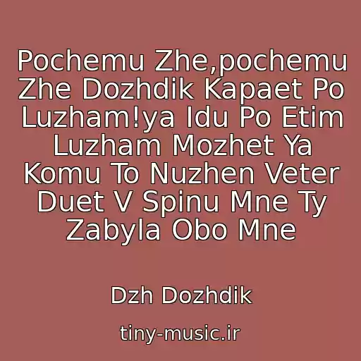 کاور آهنگ Pochemu Zhe,pochemu Zhe Dozhdik Kapaet Po Luzham!ya Idu Po Etim Luzham Mozhet Ya Komu To Nuzhen Veter Duet V Spinu Mne Ty Zabyla Obo Mne از Dzh Dozhdik
