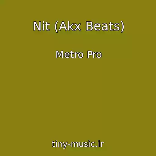کاور آهنگ Nit (Akx Beats) از Metro Pro