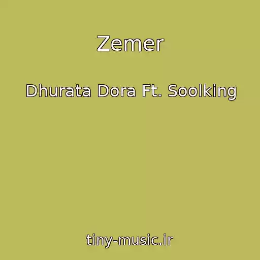 کاور آهنگ Zemer از Dhurata Dora Ft. Soolking