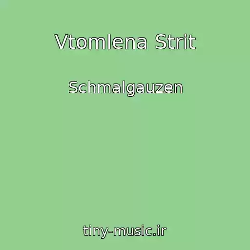 کاور آهنگ Vtomlena Strіt از Schmalgauzen