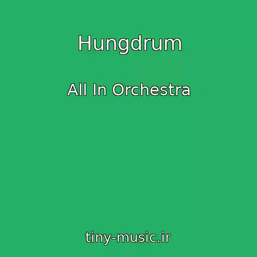 کاور آهنگ Hungdrum از All In Orchestra