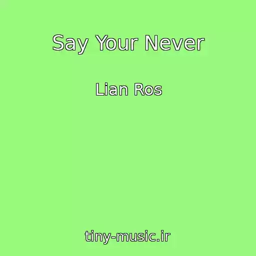 کاور آهنگ Say Your Never از Lian Ros