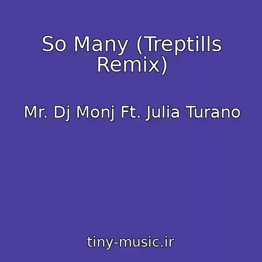 کاور آهنگ So Many (Treptills Remix) از Mr. Dj Monj Ft. Julia Turano