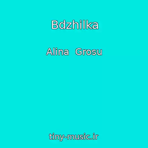 کاور آهنگ Bdzhіlka از Alіna  Grosu