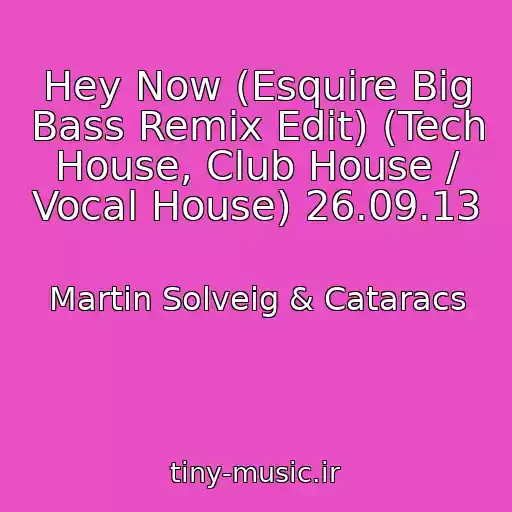 کاور آهنگ Hey Now (Esquire Big Bass Remix Edit) (Tech House, Club House / Vocal House) 26.09.13 از Martin Solveig & Cataracs