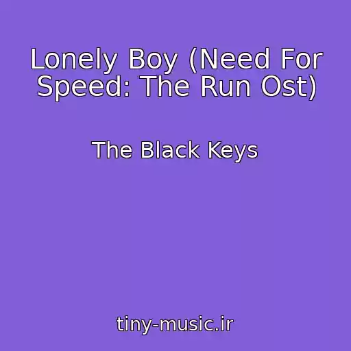 کاور آهنگ Lonely Boy (Need For Speed: The Run Ost) از The Black Keys