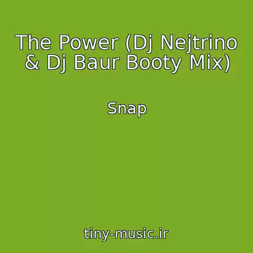 کاور آهنگ The Power (Dj Nejtrino & Dj Baur Booty Mix) از Snap