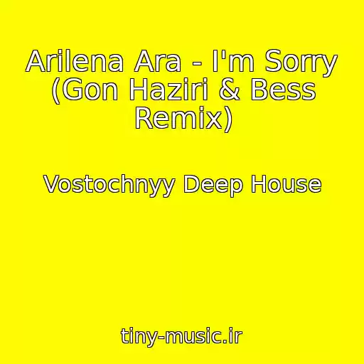 کاور آهنگ Arilena Ara - I'm Sorry (Gon Haziri & Bess Remix) از Vostochnyy Deep House