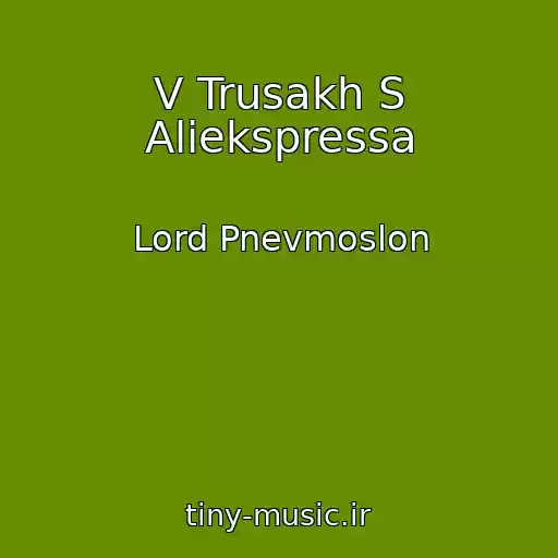 کاور آهنگ V Trusakh S Aliekspressa از Lord Pnevmoslon