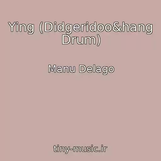 کاور آهنگ Ying (Didgeridoo&hang Drum) از Manu Delago