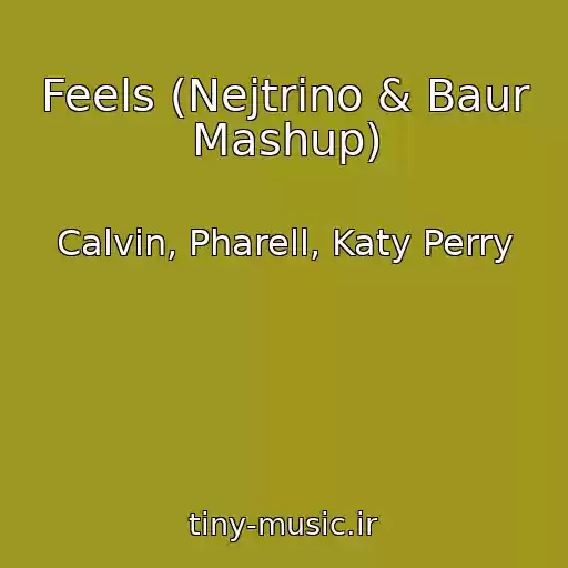 کاور آهنگ Feels (Nejtrino & Baur Mashup) از Calvin, Pharell, Katy Perry