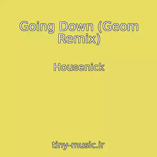 کاور آهنگ Going Down (Geom Remix) از Housenick