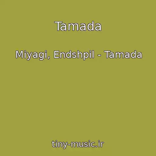 کاور آهنگ Tamada از Miyagi, Endshpil - Tamada
